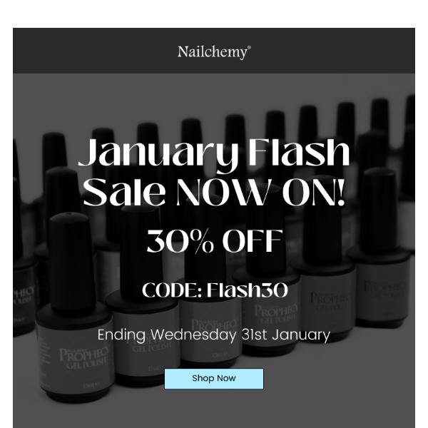 ✨ January Flash Sale Extravaganza: Get 30% Off Everything! ✨