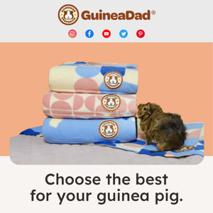 Complete your purchase at GuineaDad