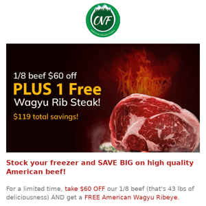 🤑OOPS Our Code Was Broke! Save $119 on 1/8 beef