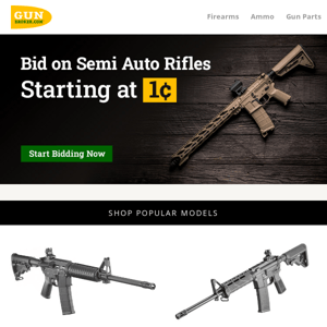 Bid on Semi Auto Rifles - Auctions starting at $0.01