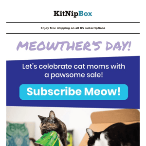 A Gift for Meowther's Day? 😻❤