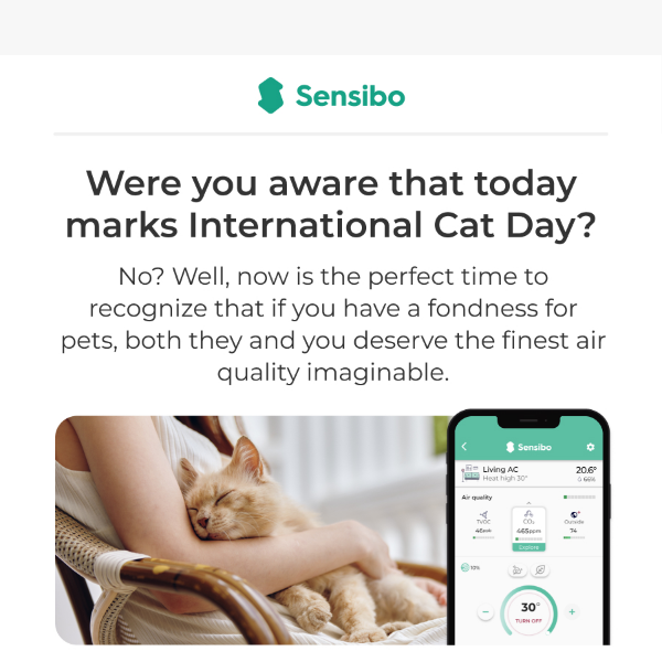 Celebrating International Cat Day with a Focus on Air Quality l Up to 40% Off 🐈