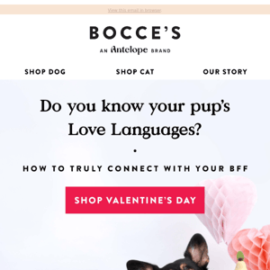 How to celebrate your dog’s love language 💗