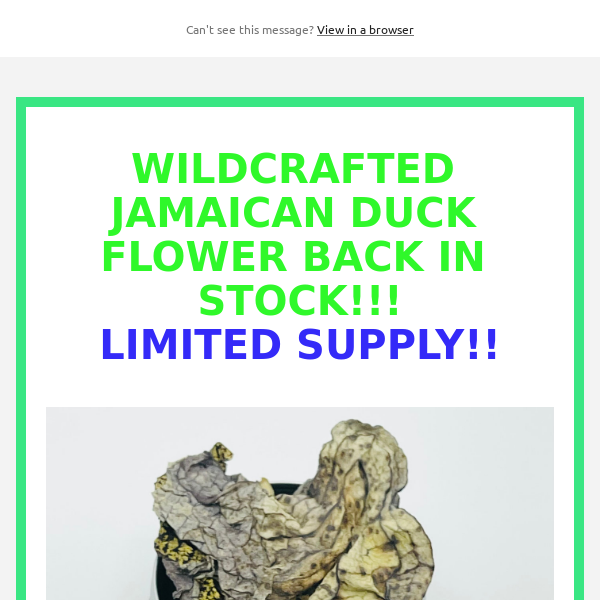 WILDCRAFTED JAMAICAN DUCK FLOWER BACK IN STOCK!!
