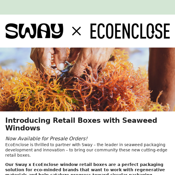 Seaweed Packaging Innovation