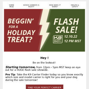 Flash Sale Tomorrow!