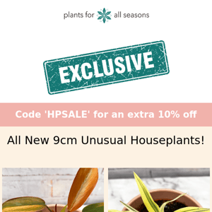 🌿👌 All New 9cm Unusual Houseplants!