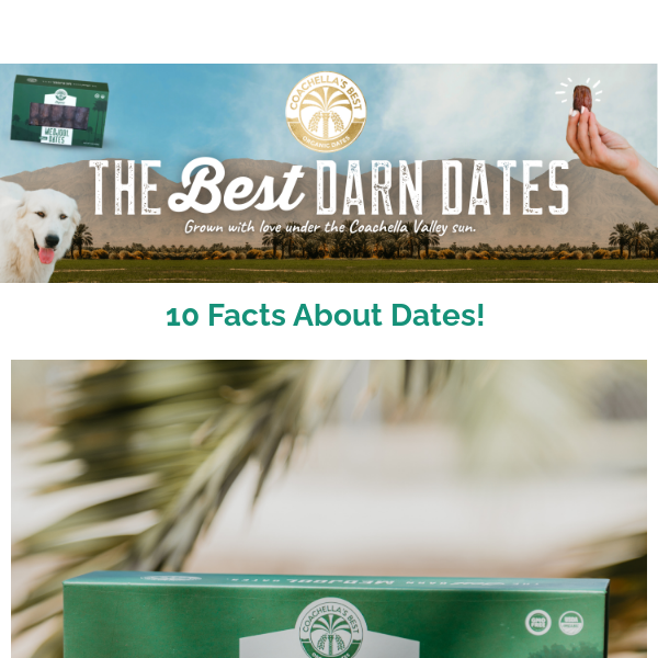 10 Facts You Need To Know About Dates 🤔