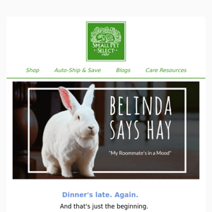 Belinda Says Hay: "My Roommate's in a Mood"