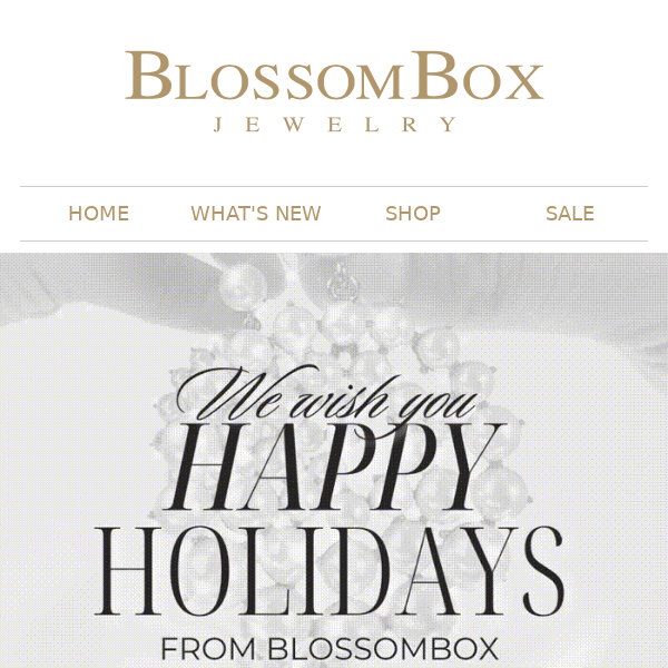 🌟 Happy Holidays from Blossom Box! ✨