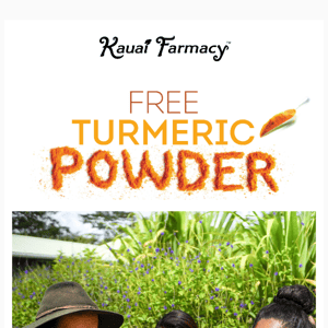 FREE Turmeric Powder 🧡