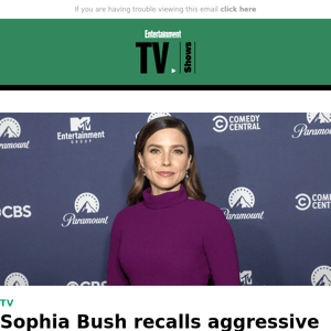 Sophia Bush recalls aggressive fan who called her a 'TV prostitute'