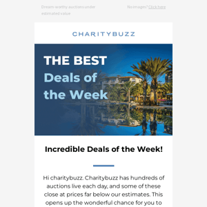 The best deals of the week! Bid today 💰