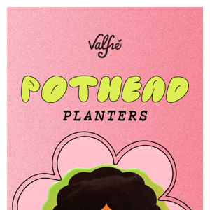 POTHEAD PLANTERS JUST DROPPED! 💚