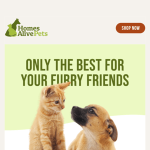 What others have to say about Homes Alive Pets