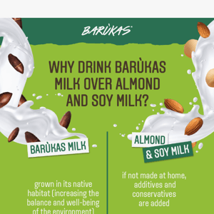 Barùkas VS Almond: Which milk is better?🥛