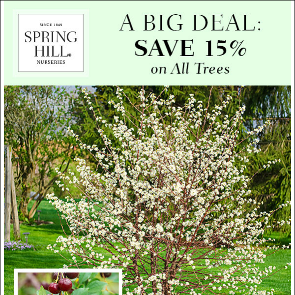 Deal of the Day: Save 15% on Trees