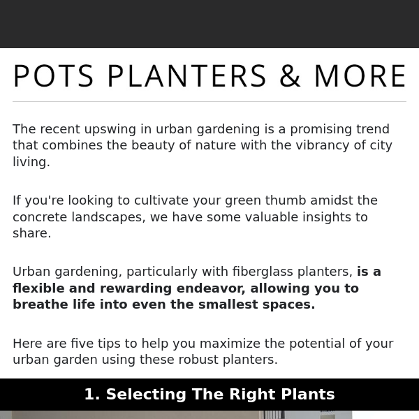 Embrace City Living: 5 Urban Gardening Tips with Fiberglass Planters
