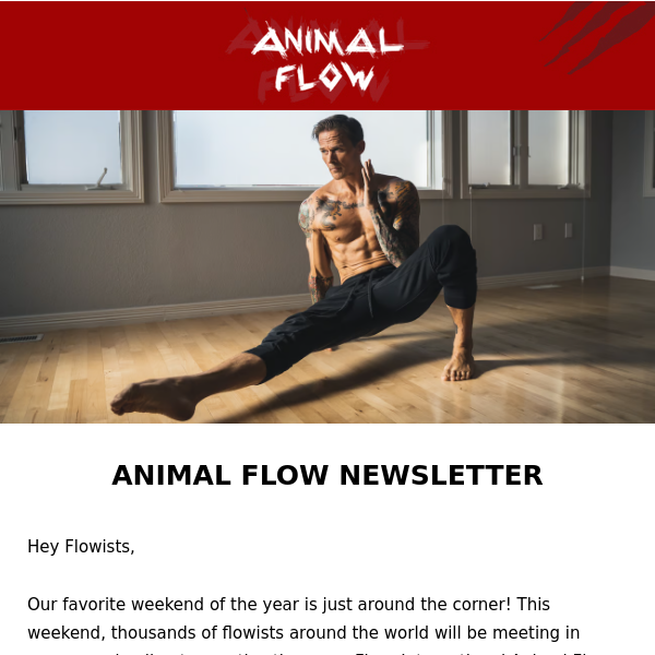 Animal Flow Newsletter