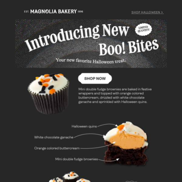 All New for Spooky Season: Boo! Bites 👻