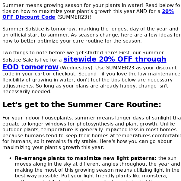 Special Summer Plant Care Tips & Solstice SALE