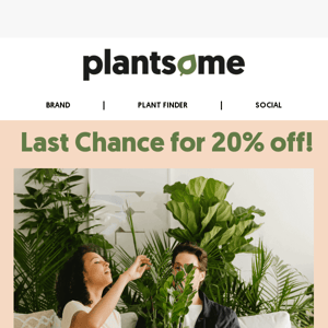 Don't miss out 🌿