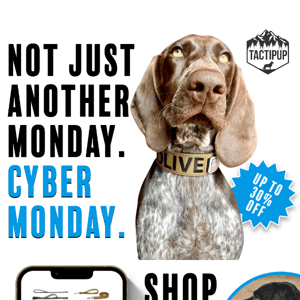 Cyber Monday Savings Are Almost Over!