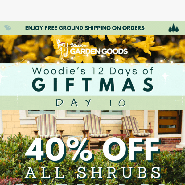 40% OFF ALL SHRUBS Extended For One More Day!🤩