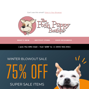 Our Winter Clearance Event - 75% Off Super Sale