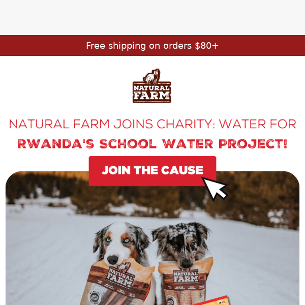 Paws for a Cause: Rwanda Water Project 🐾