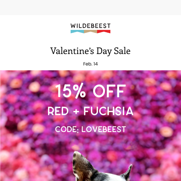 Valentine’s Day Sale Today ❤️