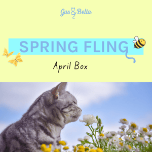NEW BOX: Spring Fling 🐝