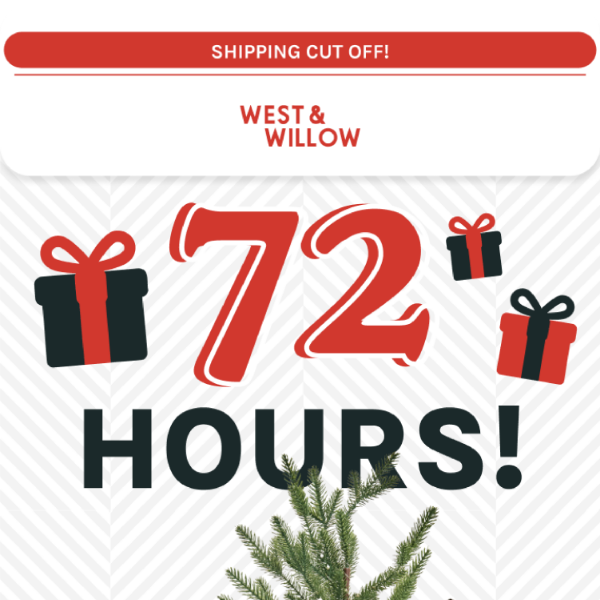 72 hours left to order! ☃️