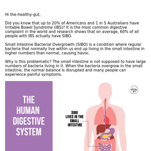 The Healthy Gut, what is SIBO?