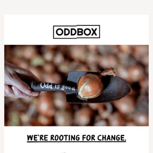 Welcome to Oddbox