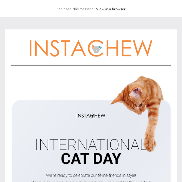 🐾 Happy International Cat Day! 🎉 Get the best deals for your cat! 🐱