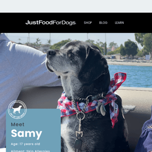 Meet JustFoodForDogs Pet of the Week: Samy!