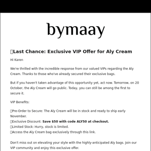 🚨Last Chance: Aly Cream Bag for VIPs!