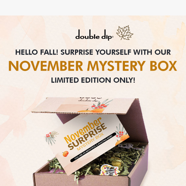 🍂❤️ NEW & EXCITING ITEMS AWAIT! November Mystery Box is now AVAILABLE! 🍂