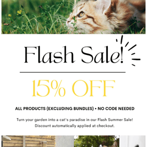 Flash Summer Sale Now On! 🎆