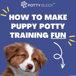 🐶 How to make puppy potty training fun 🐾