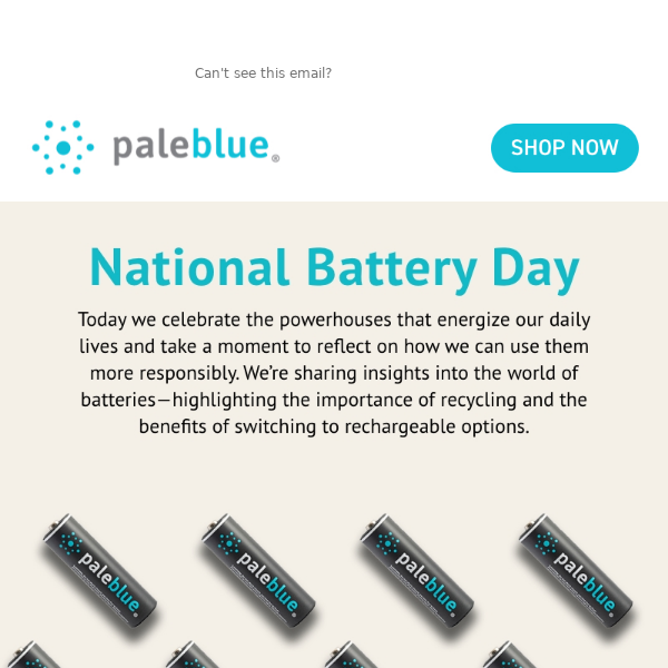 Celebrate National Battery Day with Paleblue: Power Your World Sustainably!