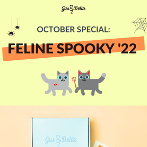 FELINE SPOOKY? Halloween Box is back!