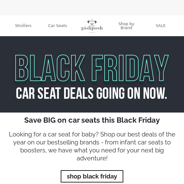 🌟 Save BIG on Car Seats this Black Friday!