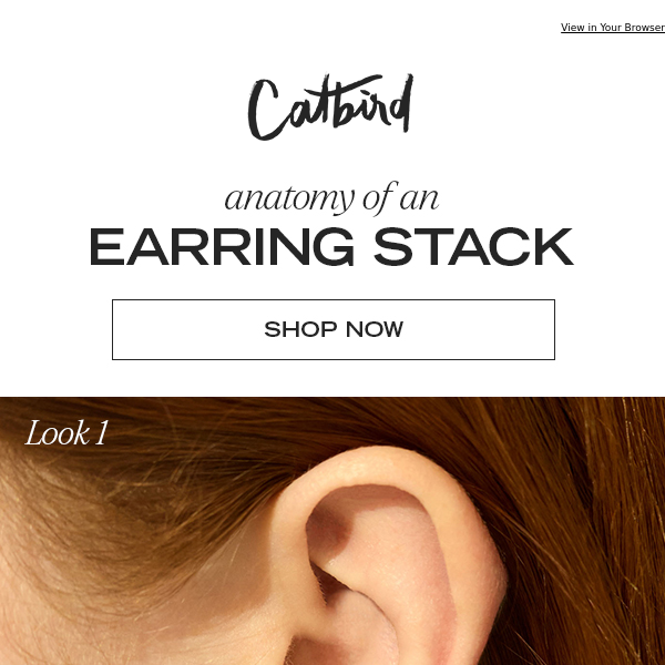 Anatomy of an Ear Stack