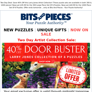 40% OFF | Puzzle Set Door Busters