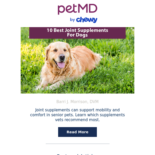 10 Best Joint Supplements For Dogs