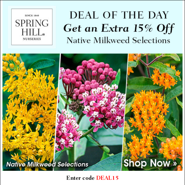 Deal of the Day: Extra 15% Native Milkweed Mix