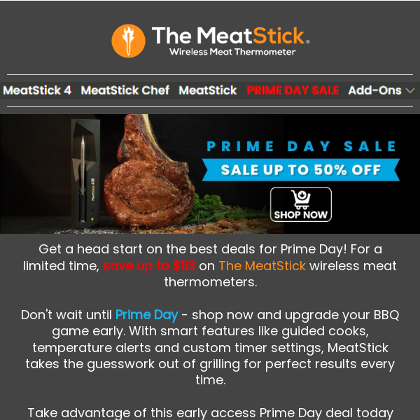 🍂Prime Day Starts Early - Save Up to $113 on MeatStick!