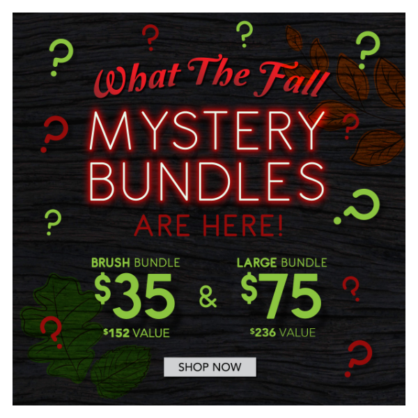 🍂 WTFall Mystery Bundles are here 🛍️ Shop Now!